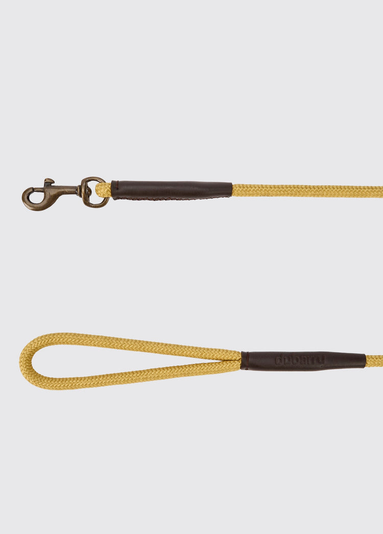 CHARLIE Nylon dog lead - Gold