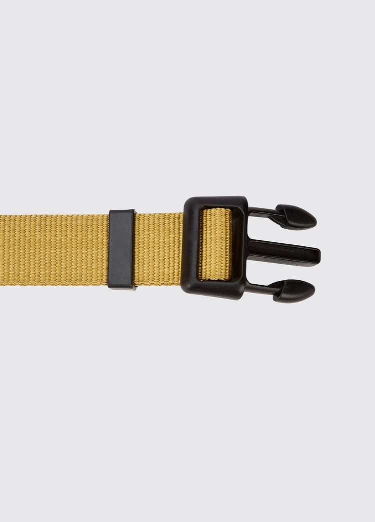 APOLLO Nylon collar for dogs - Gold