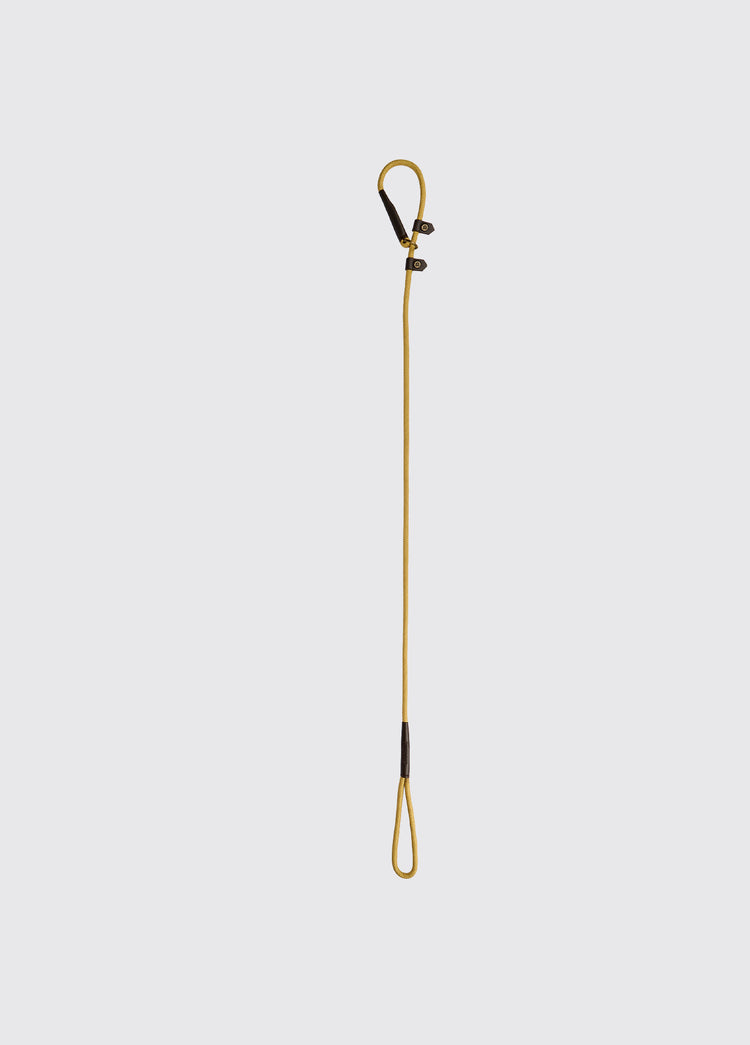 Marley 5ft Nylon Rope slip lead for dogs - Gold