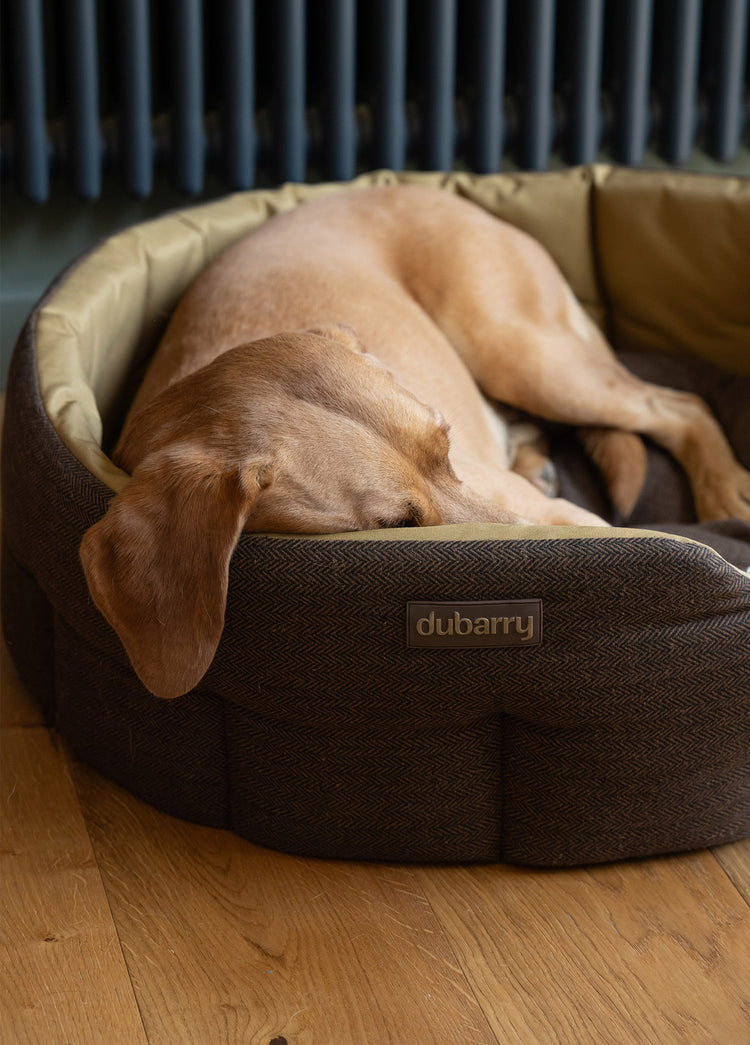 Buster Tweed dog bed - Mocha