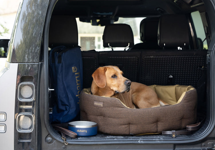 Buster Tweed dog bed - Mocha